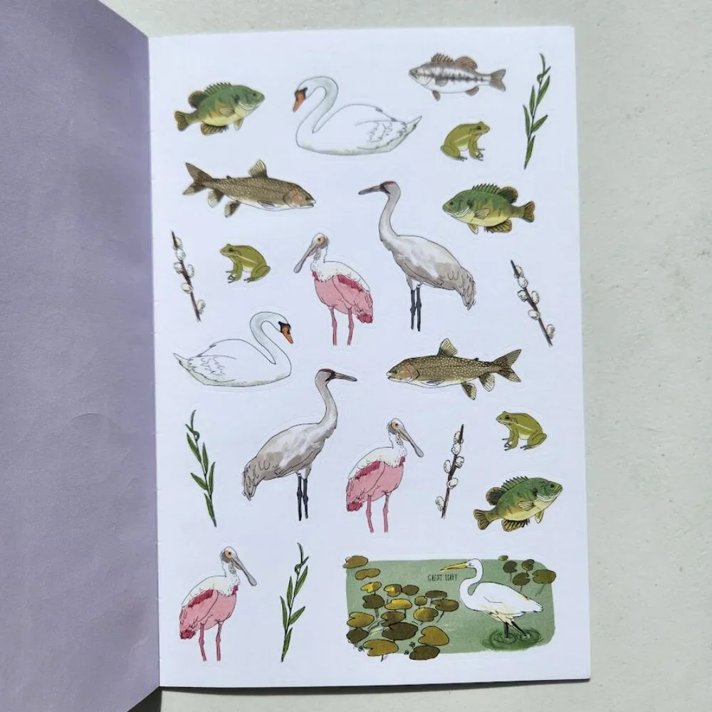 Nature Anatomy Sticker Book Julia Rothman 750 Stickers birds, feathers, wildflow
